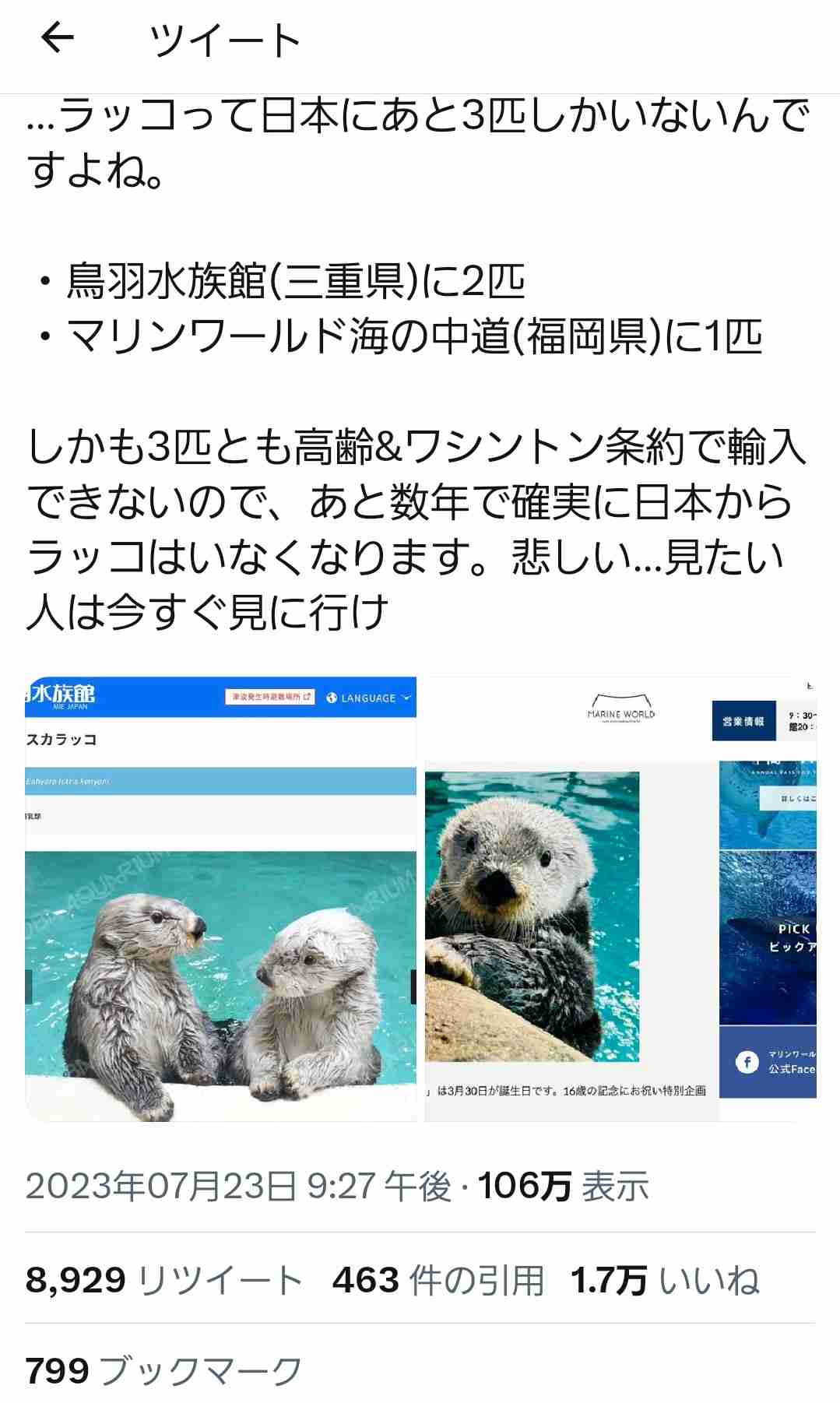 ラッコも「草食化」か、オスが求愛しなくなり飼育数減少…数年後には日本の水族館からいなくなる?