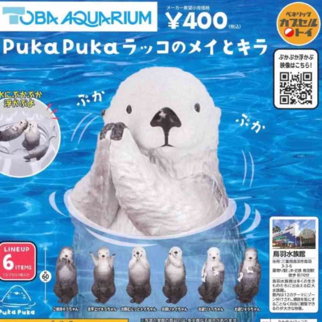 ラッコも「草食化」か、オスが求愛しなくなり飼育数減少…数年後には日本の水族館からいなくなる?