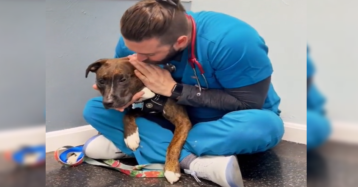 動物病院での愛猫