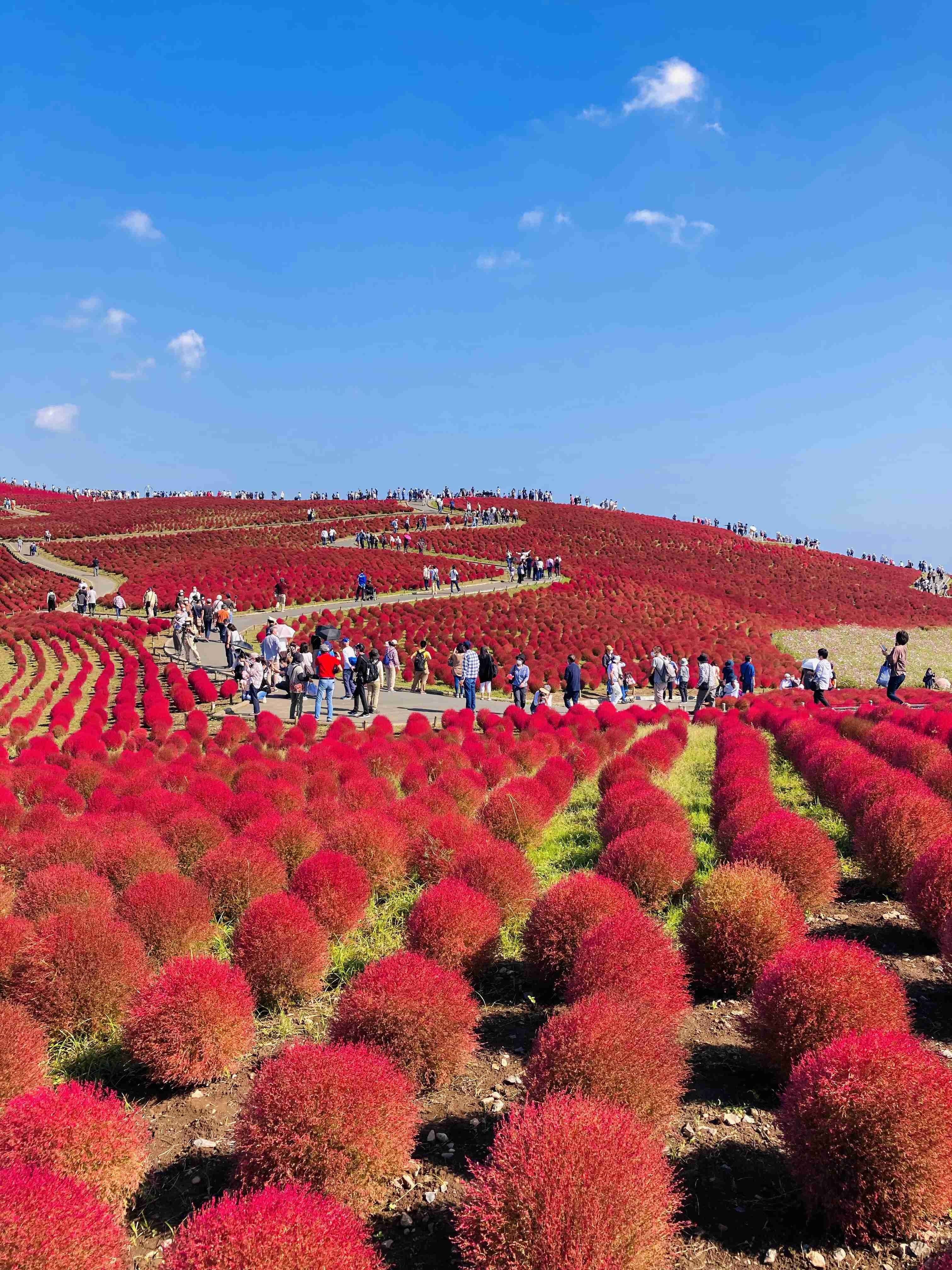茨城県の観光