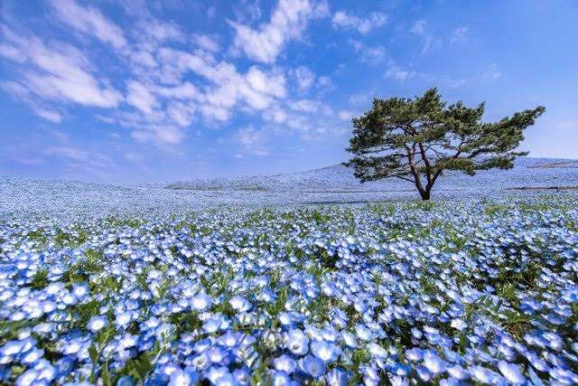 茨城県の観光