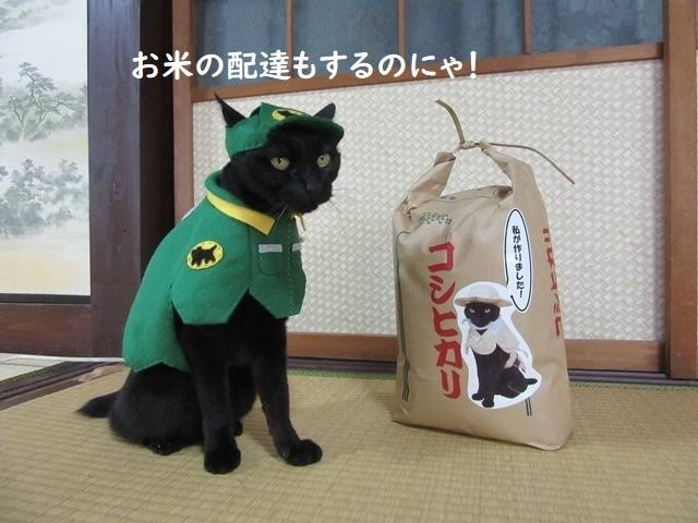 宅配便が置き配してくれない