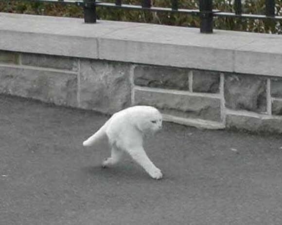 【画像】色んな写り込み