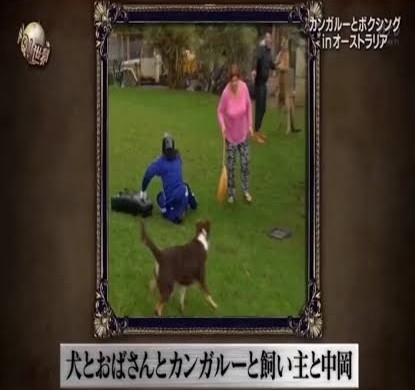 【画像】色んな写り込み