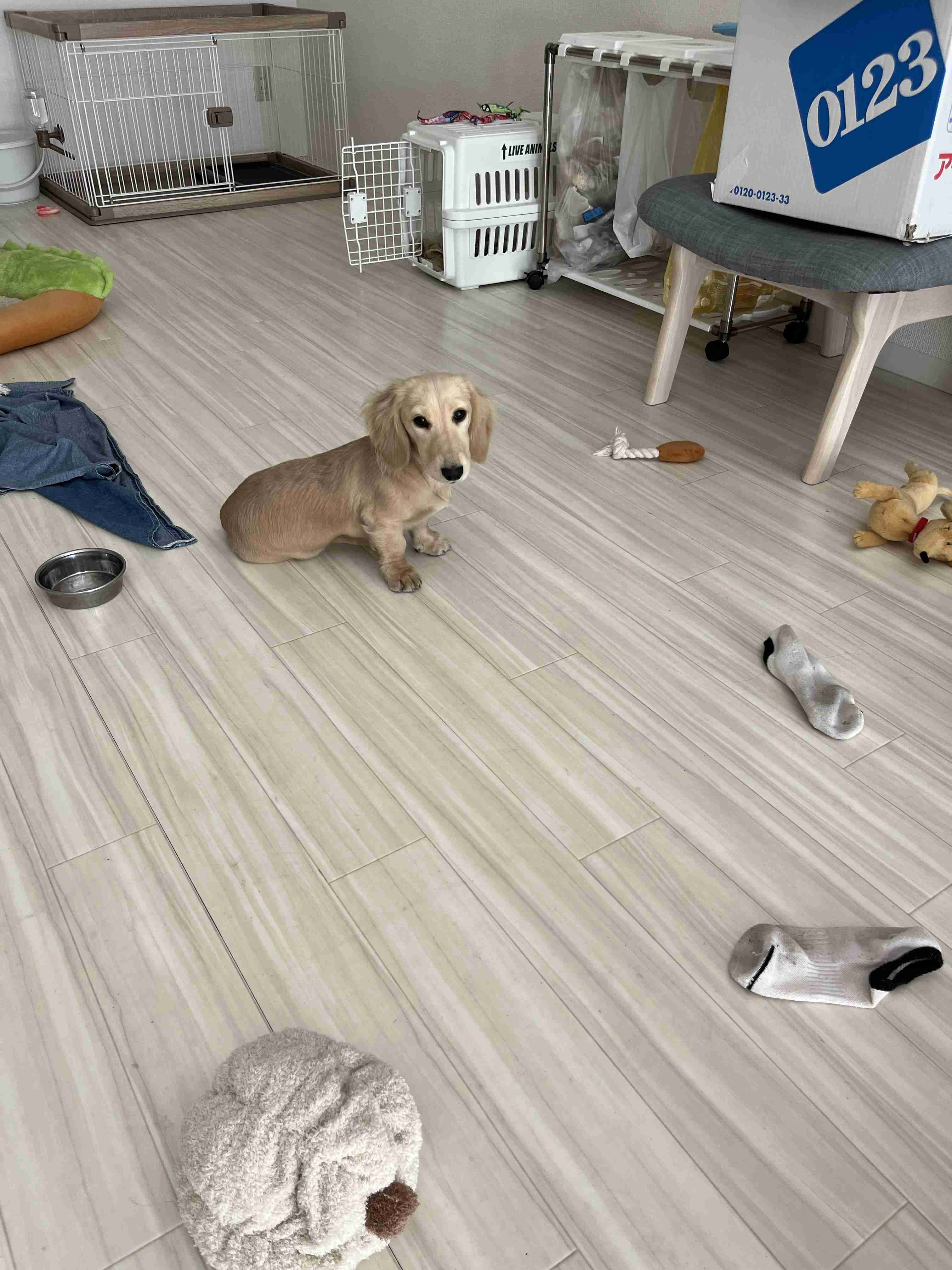 【画像】色んな写り込み