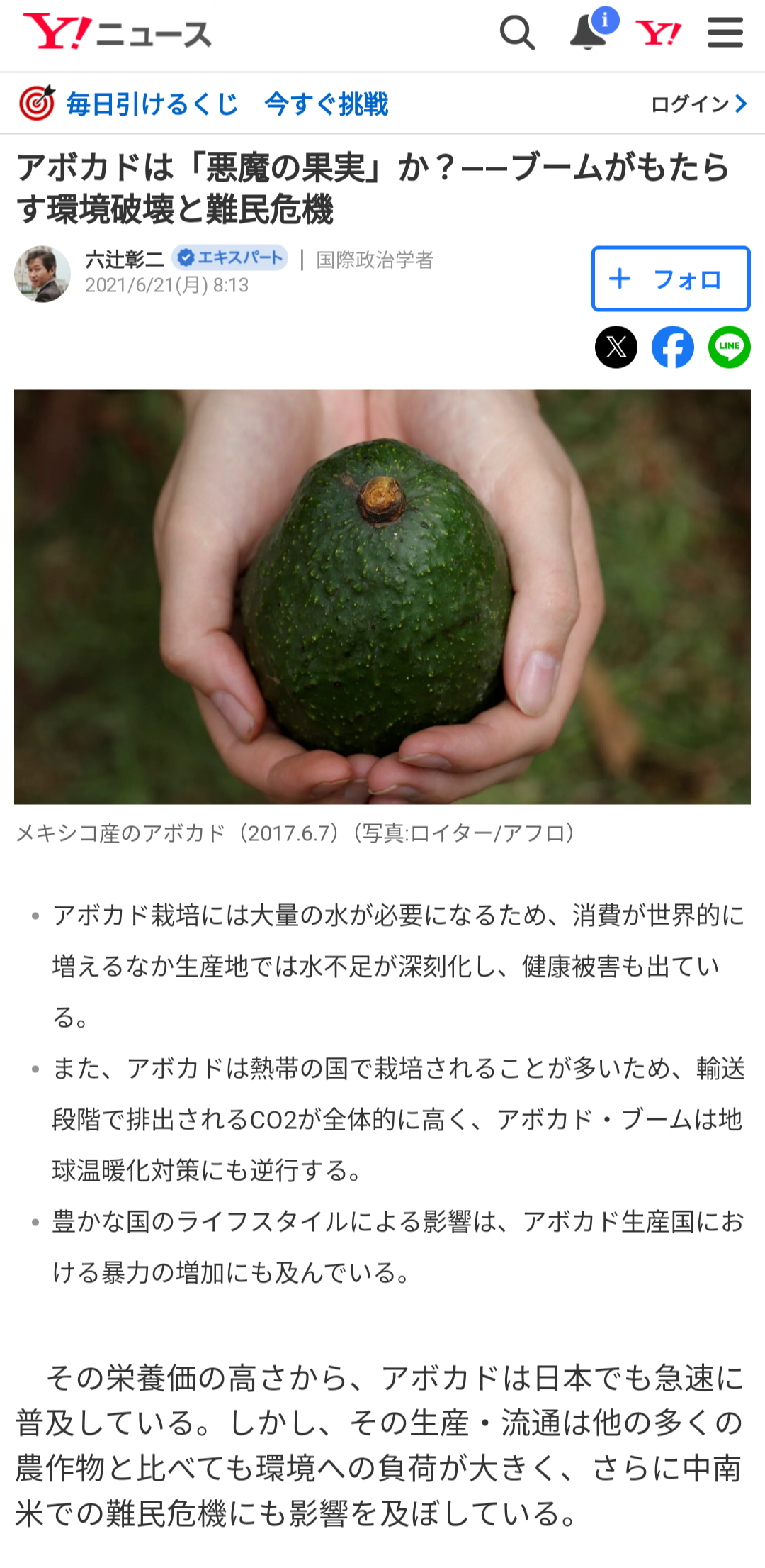 “家計のピンチ”ついに「アボカド」も値上がり…歯止めがかからない野菜や果物の高騰　原因は異常気象？