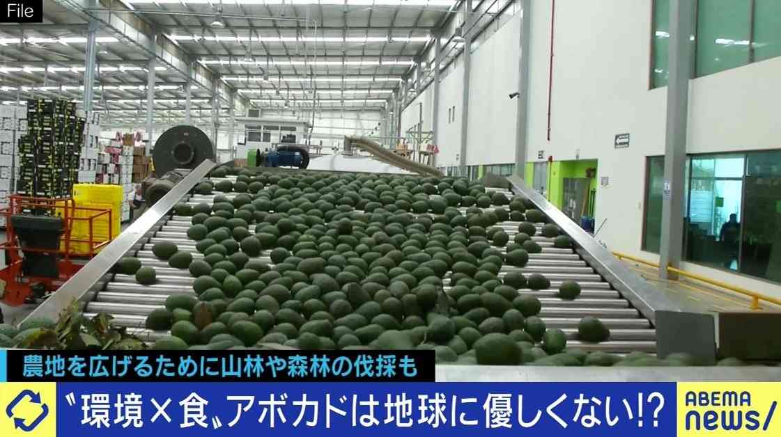 “家計のピンチ”ついに「アボカド」も値上がり…歯止めがかからない野菜や果物の高騰　原因は異常気象？