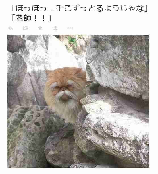 【ジャンル不問】何度か経験すると分かる様になること・見抜ける様になること