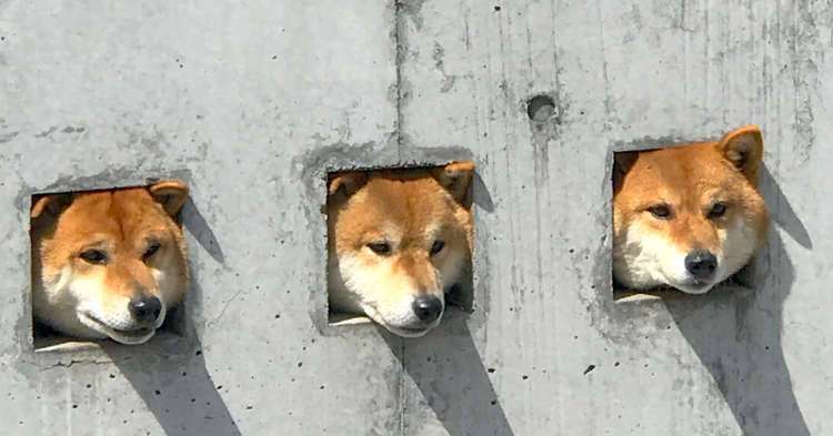 〇〇界のBIG3を決める！