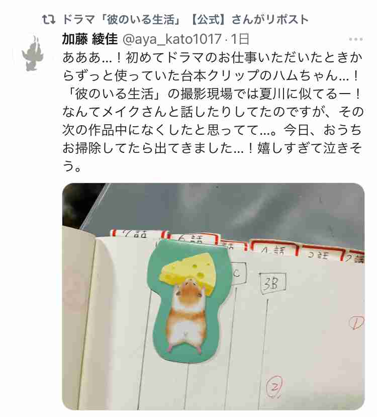 【ドラマ】「彼のいる生活」を語ろう
