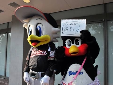 プロ野球、交流戦あるある。