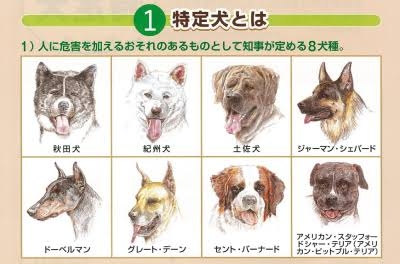 ピットブルに首を噛まれた飼い主が死亡　目撃者「犬は彼を引き裂いていた」（米）