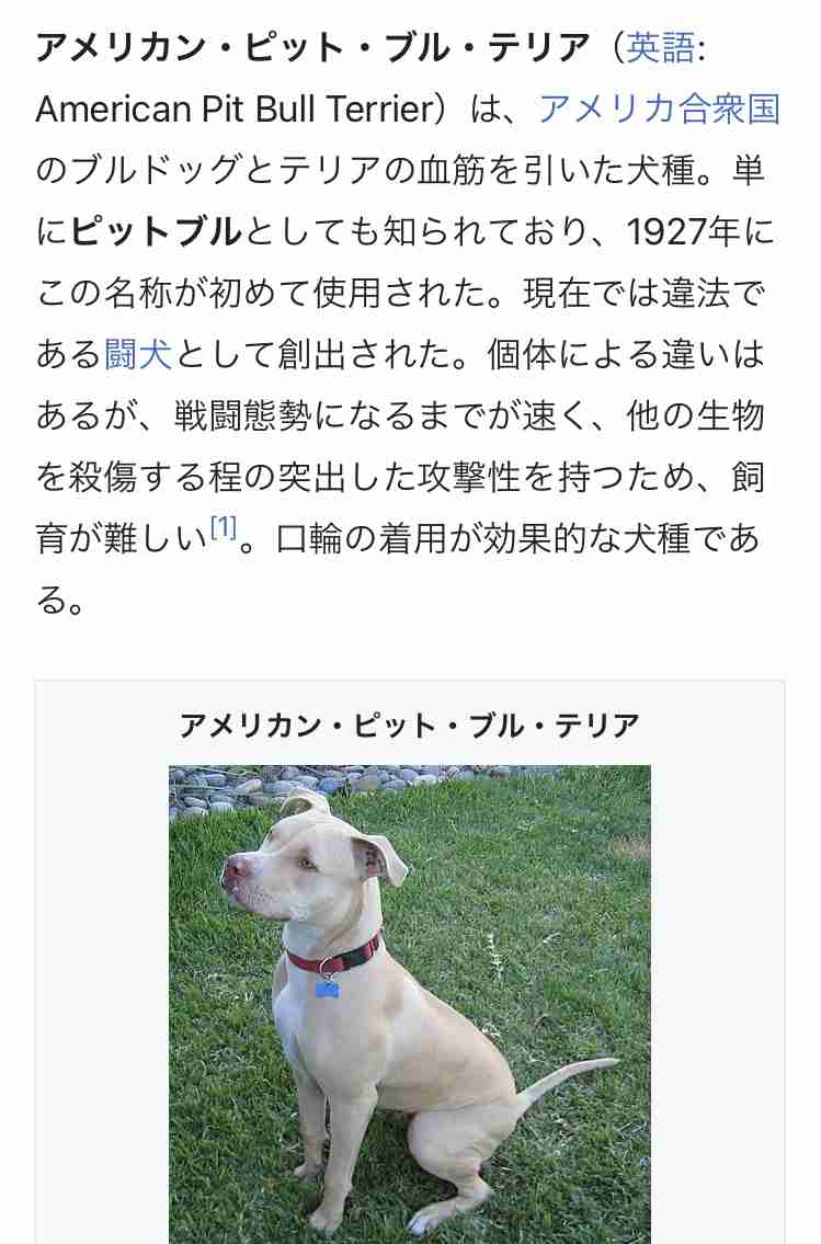 ピットブルに首を噛まれた飼い主が死亡　目撃者「犬は彼を引き裂いていた」（米）