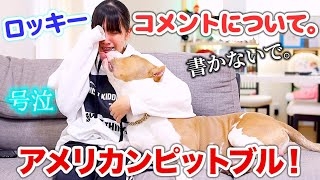 ピットブルに首を噛まれた飼い主が死亡　目撃者「犬は彼を引き裂いていた」（米）