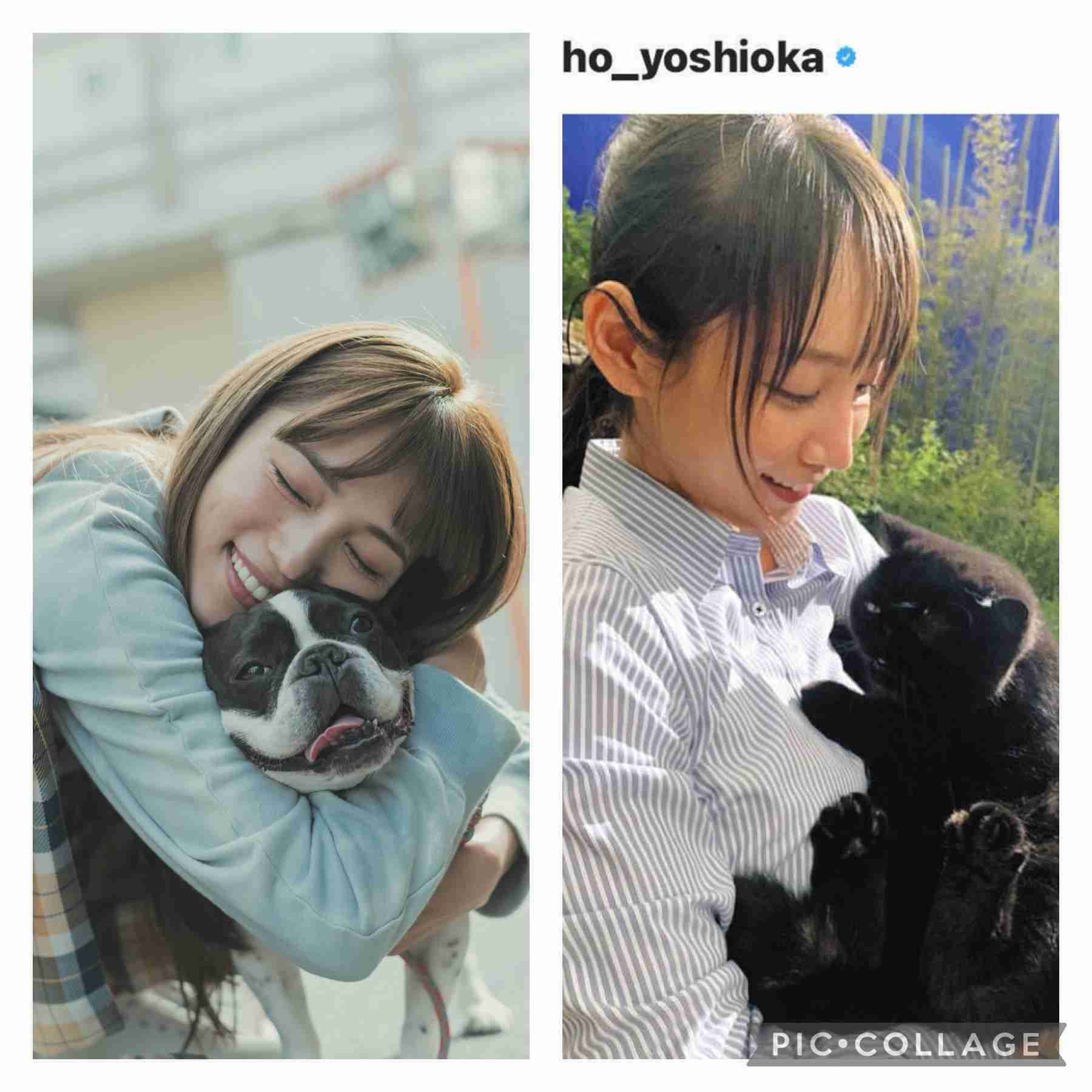 〇〇飼ってる人のイメージ