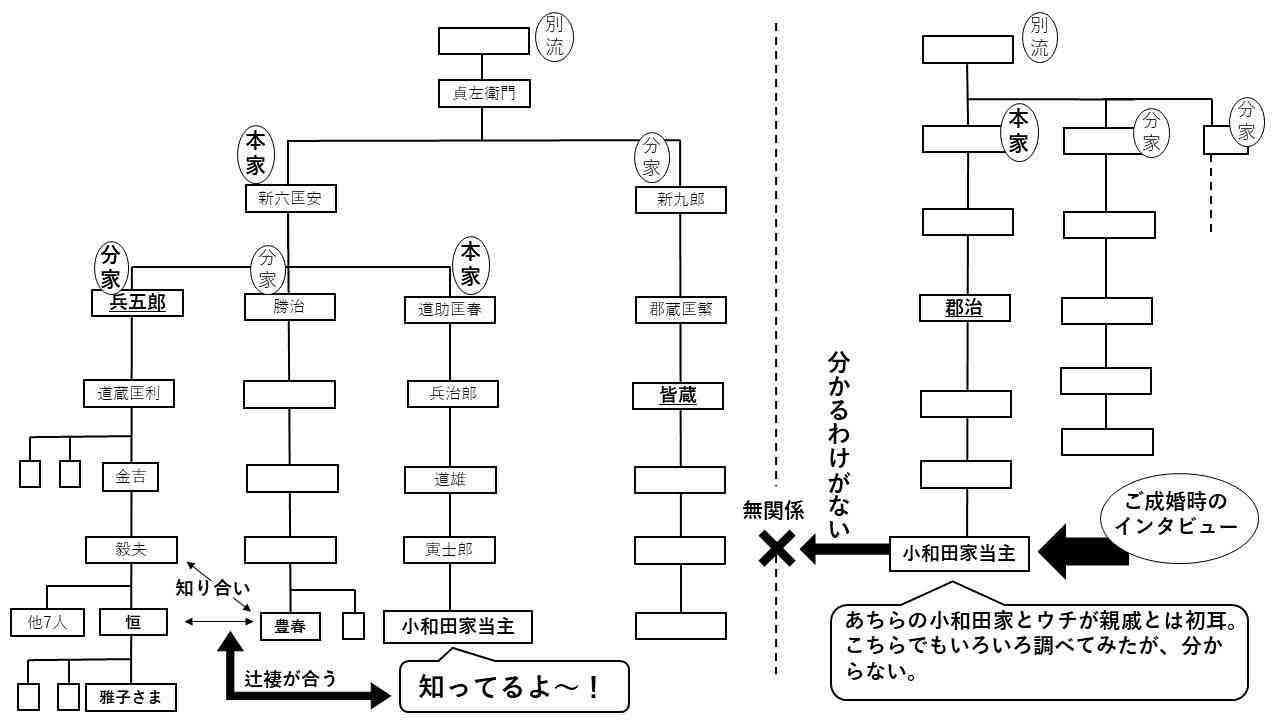 女性皇族、結婚後も身分保持　自民、皇族数確保案を大筋合意