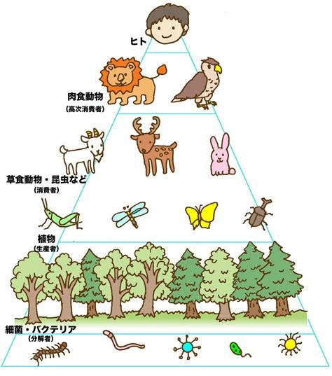 「捕獲か射殺しないと『人間は怖くないんだ』という遺伝子が残ってしまう」青森・クマによる女性死亡事故　救出に当たったハンターが警鐘「音を鳴らせばクマが離れる」過信しないで