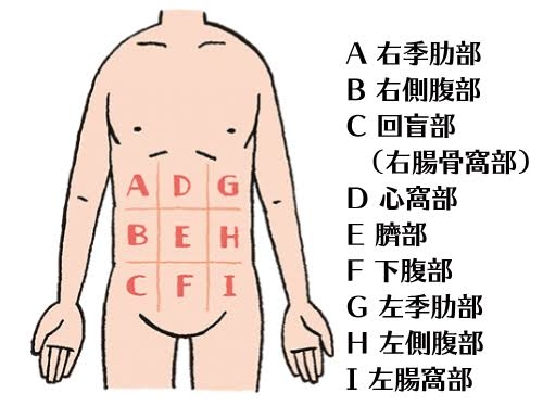 「下着の中に聴診器を入れられた」小学校の健康診断で複数の児童が訴え 医師は「医療行為の一環」