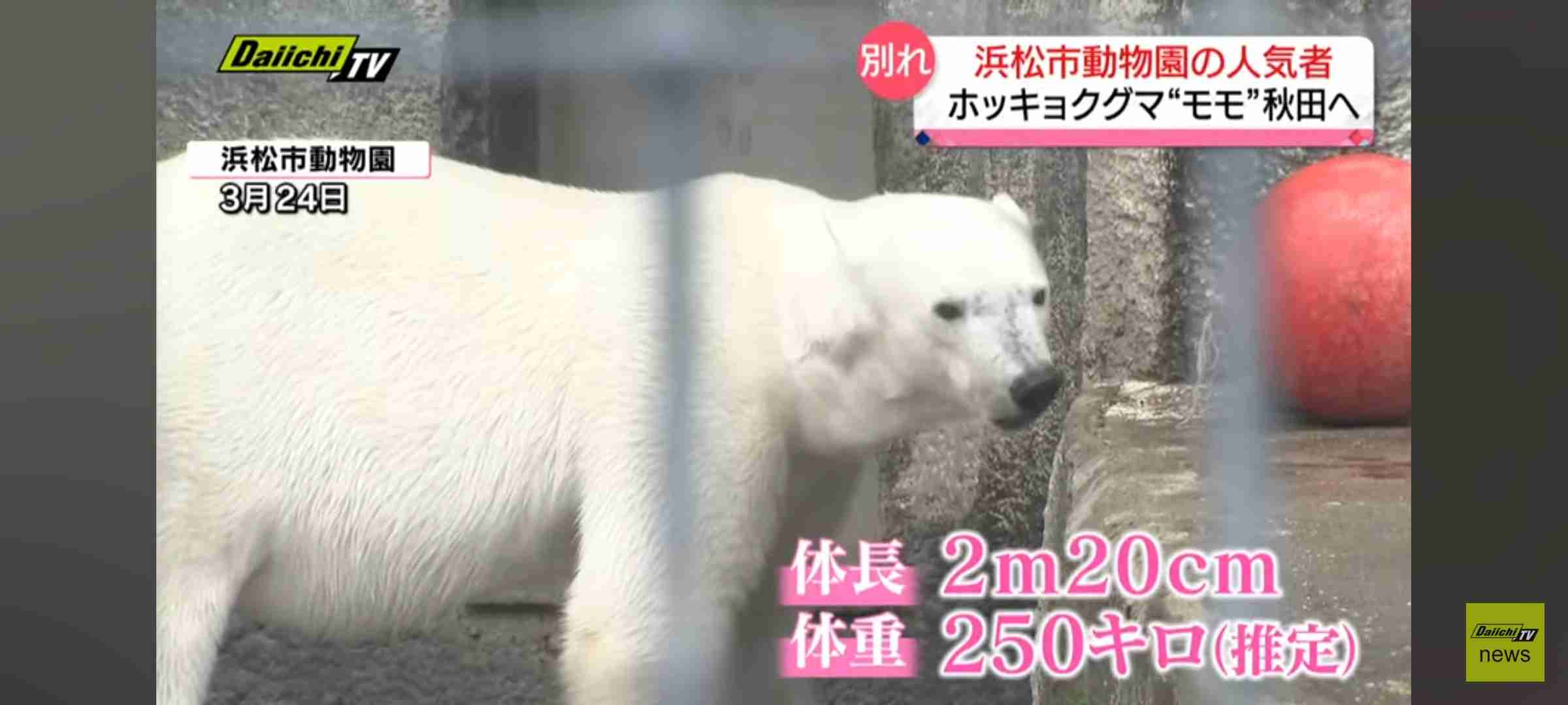 「規格外」「これは試合にならん」 220センチの中国バスケ女子選手、とんでもないプレーを見せつけネット驚がく