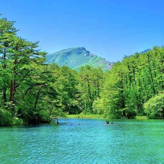 辻希美、中学生・長男からの“お願い”に「ダメ！」「怖い怖い」　視聴者に呼びかけ「どうするのが正解なんだろう」