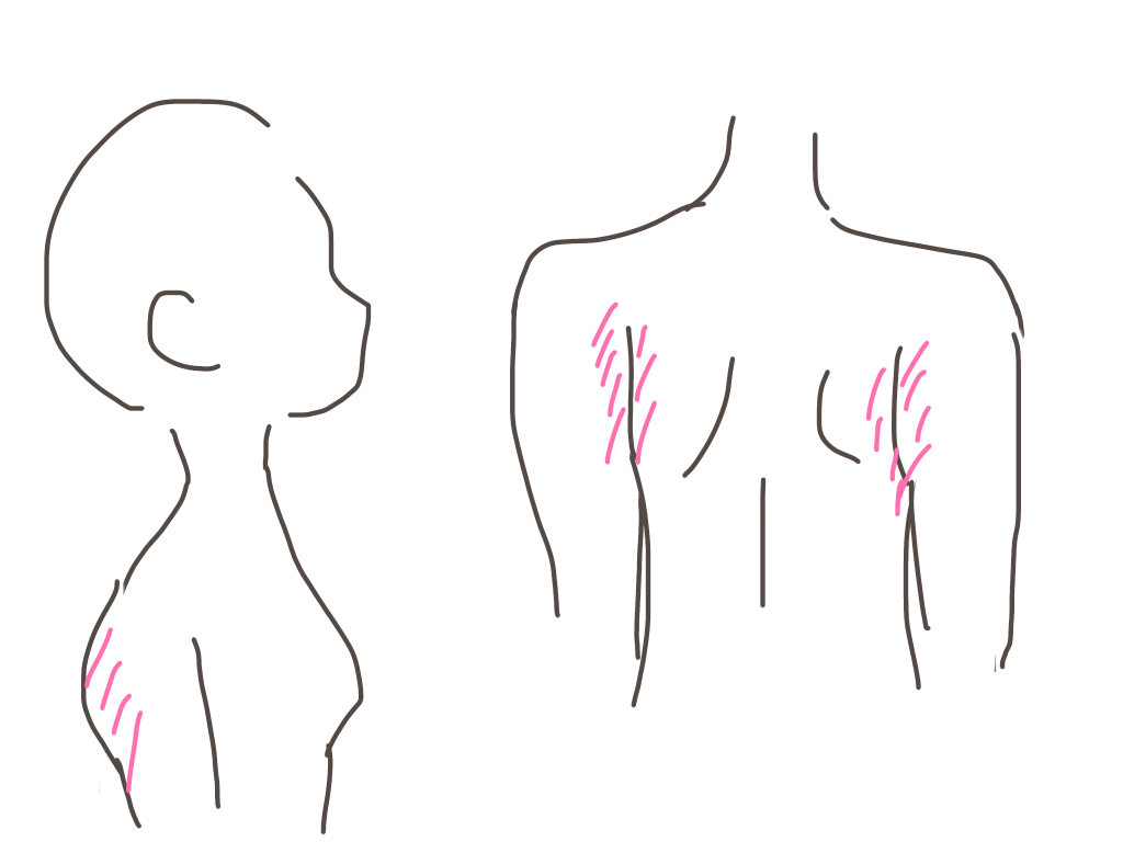 ゆるい筋トレ方法【ひきしめ】