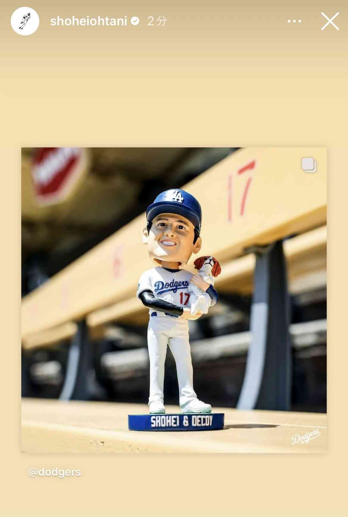 大谷翔平、久々の愛犬“デコピン”更新をファン大喜び「今日誕生日だったの!!?」　ホラー感ある“ひょっこり”写真も