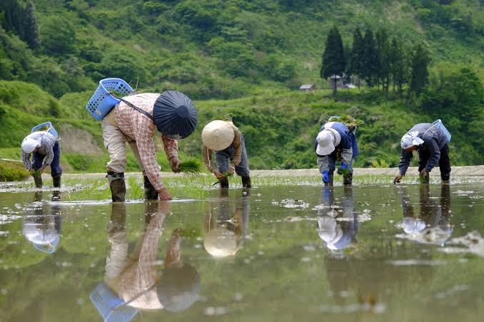 水仕事 手荒れ