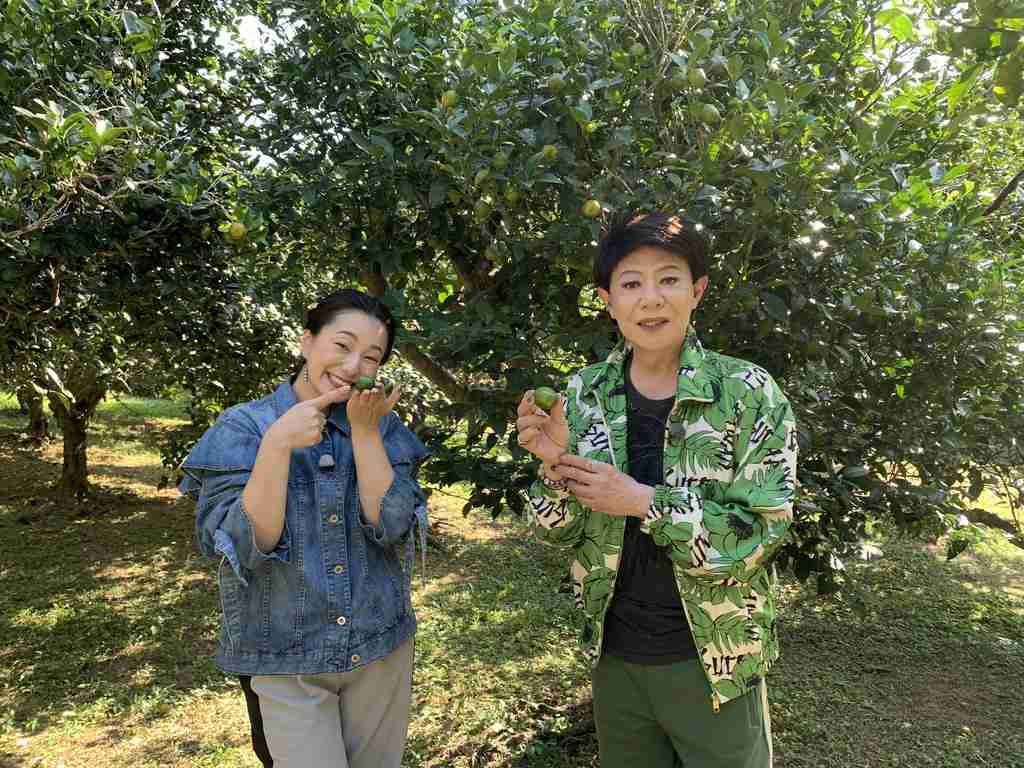 A型は美川憲一、B型はマツコ、O型は武田鉄矢、AB型はIKKO言葉で話すトピ part9