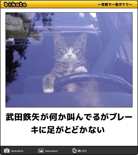 A型は美川憲一、B型はマツコ、O型は武田鉄矢、AB型はIKKO言葉で話すトピ part9