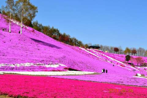 【北海道】網走・知床エリアの旅行【道東】