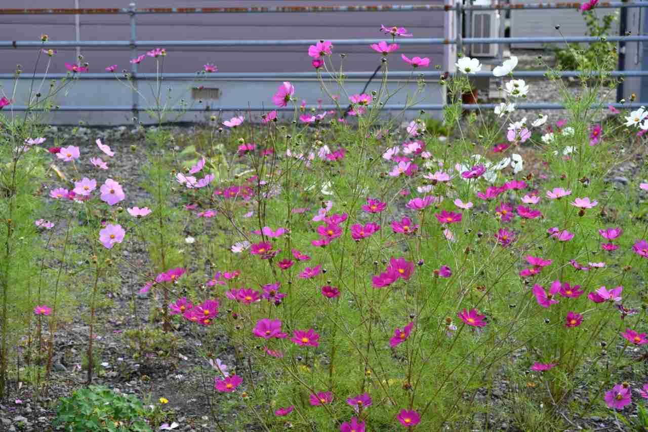 【北海道】網走・知床エリアの旅行【道東】