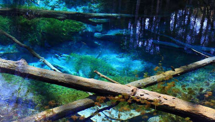 【北海道】網走・知床エリアの旅行【道東】