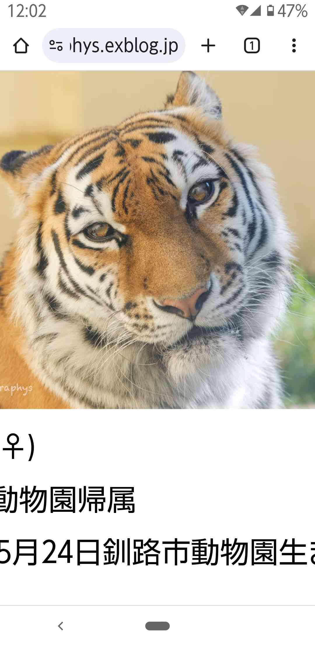 【北海道】網走・知床エリアの旅行【道東】