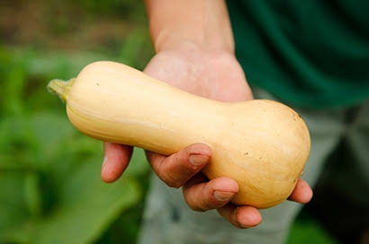 見た目が好きな野菜や果物