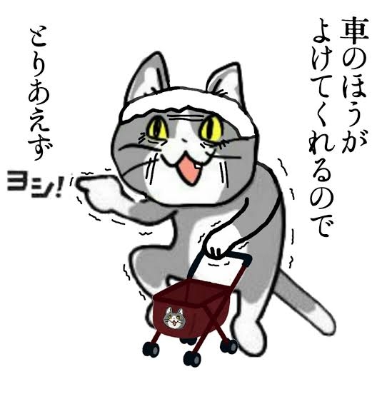 がるちゃん猫カフェ99号店開店しました♪(初めての方も大歓迎♪）