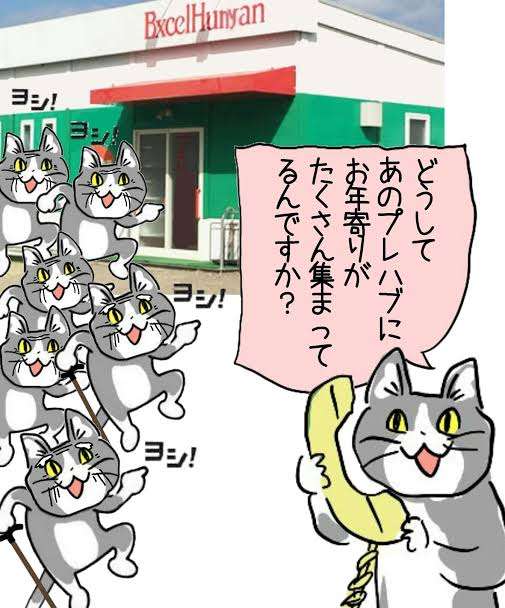 がるちゃん猫カフェ99号店開店しました♪(初めての方も大歓迎♪）