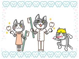 がるちゃん猫カフェ99号店開店しました♪(初めての方も大歓迎♪）