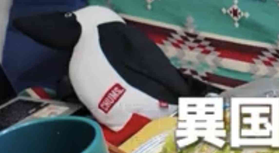 食い意地張ってしまう