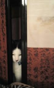 心霊番組が減った