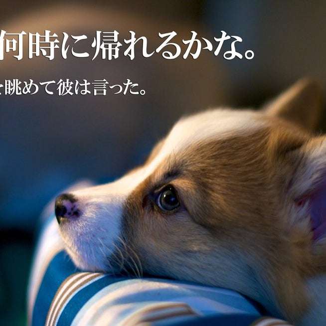 仕事前、どんな気持ちですか？