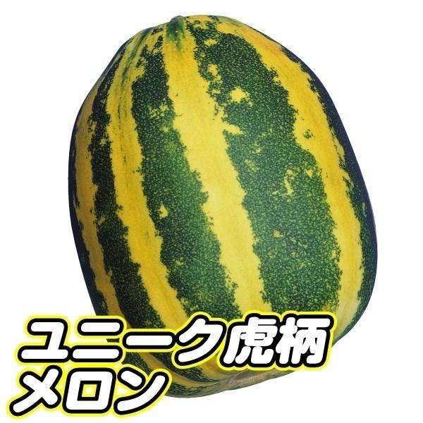 この夏グリーンカーテン作る人!