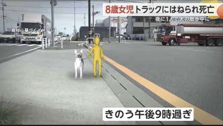 「ペットにトイレをさせてあげたい…」 夜に家を出た女児(8)がトラックにはねられ死亡 裁判官「日頃の運転態度が事故を招いたように思える」