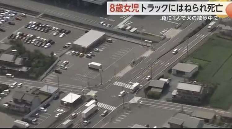 「ペットにトイレをさせてあげたい…」 夜に家を出た女児(8)がトラックにはねられ死亡 裁判官「日頃の運転態度が事故を招いたように思える」