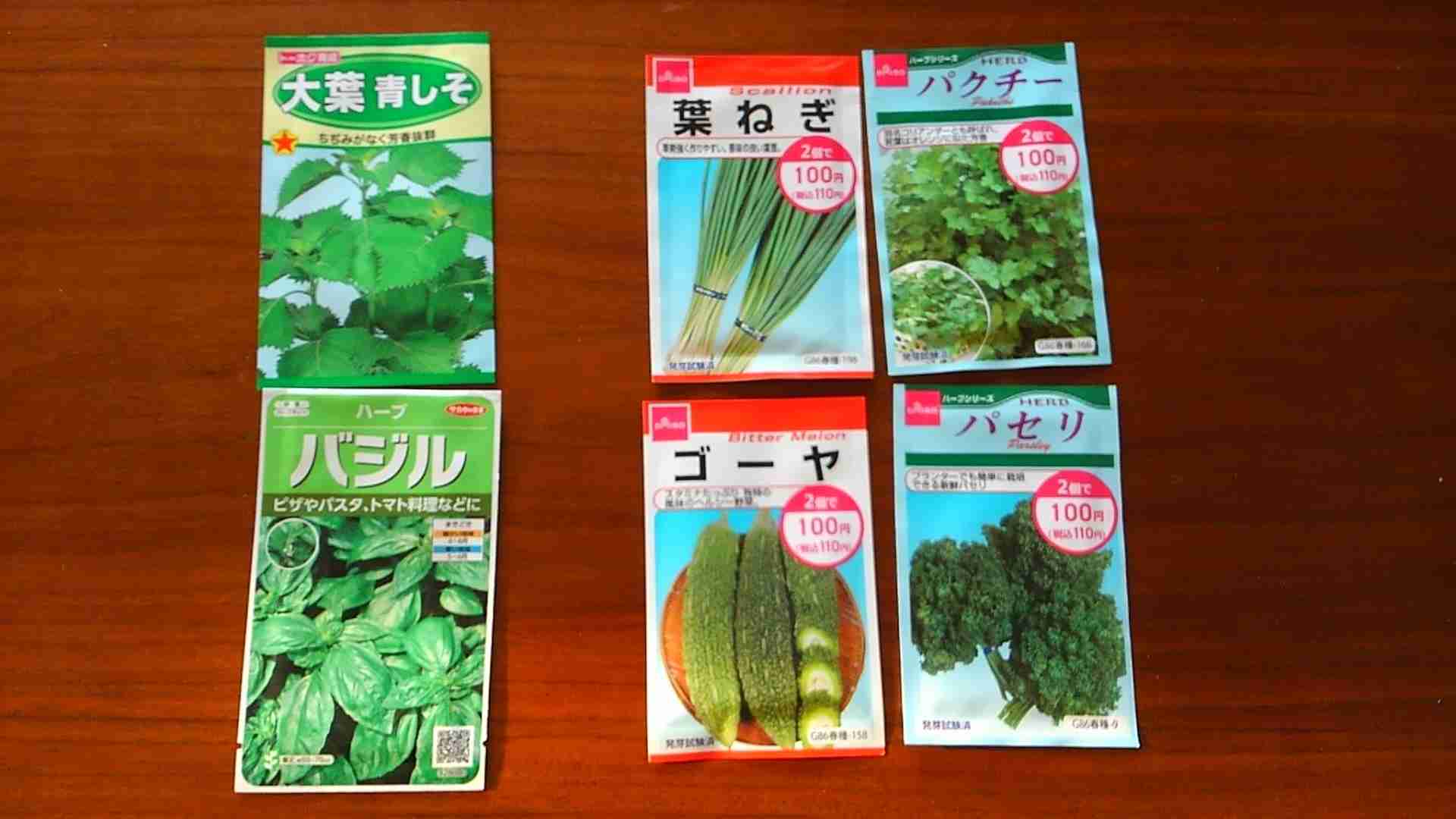 【園芸】100円ショップの植物を育ててる人！【雑談】