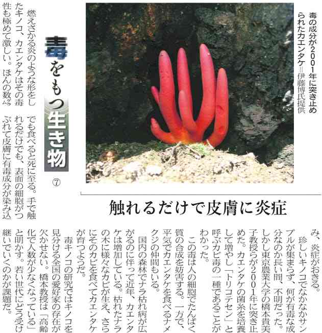 【閲覧注意】毒々しい植物や生き物【画像】