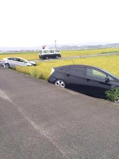 情報量が多い画像を貼るトピpart3