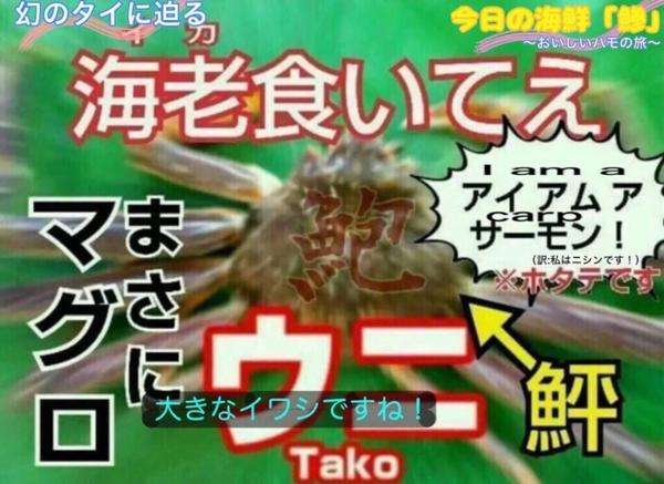 情報量が多い画像を貼るトピpart3