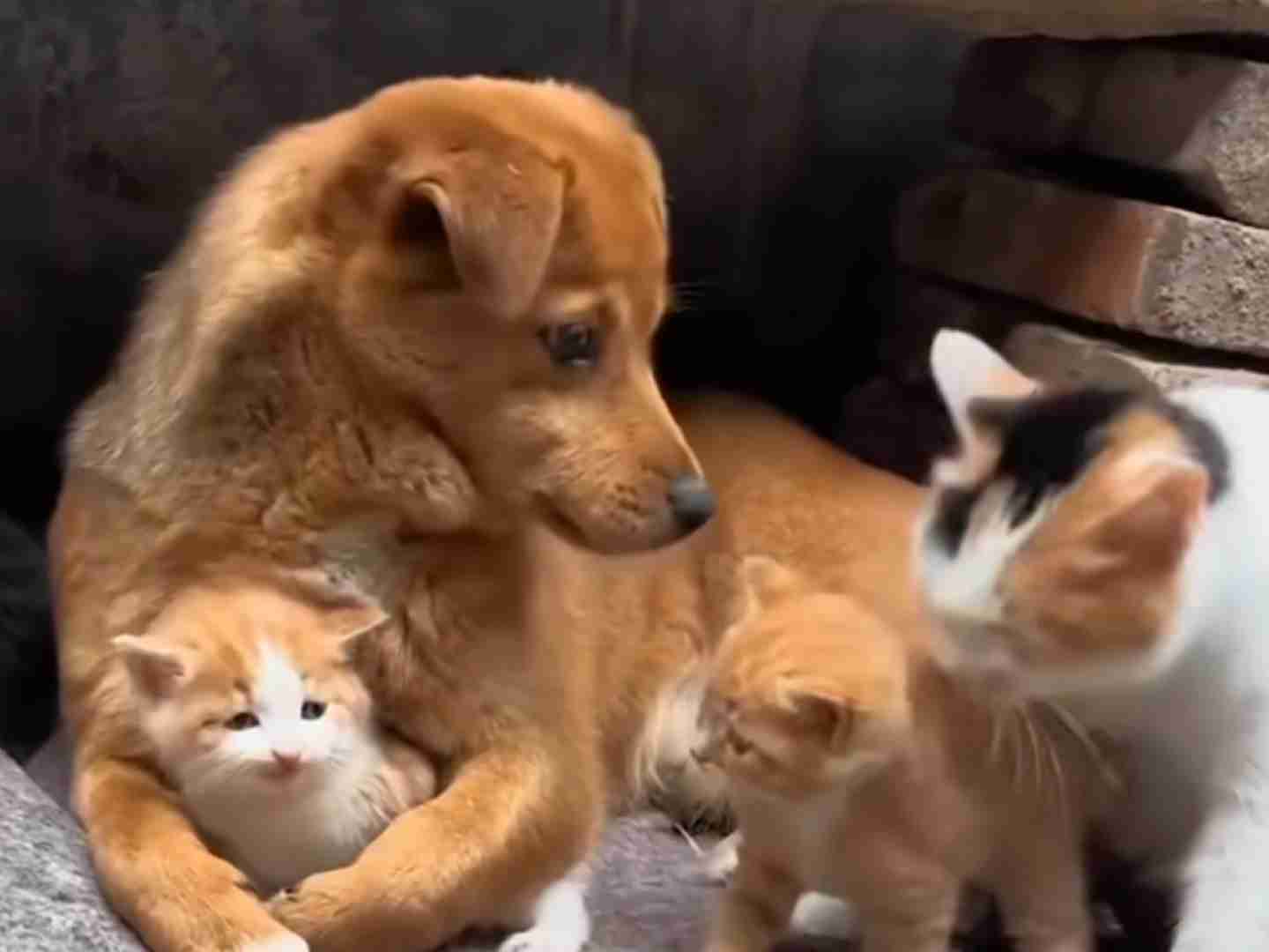 みんなが幸せに少子化を解消する方法は無いんでしょうか？💦