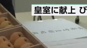 オーバーオール好き
