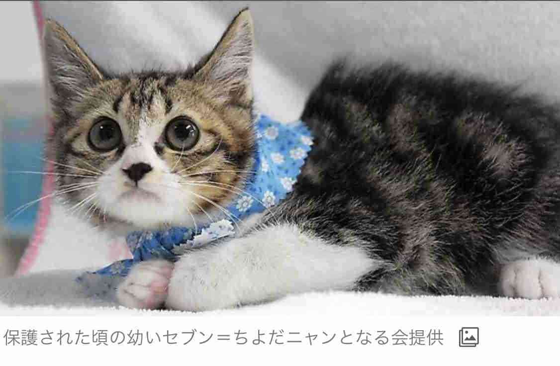オーバーオール好き